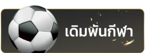 Sport x